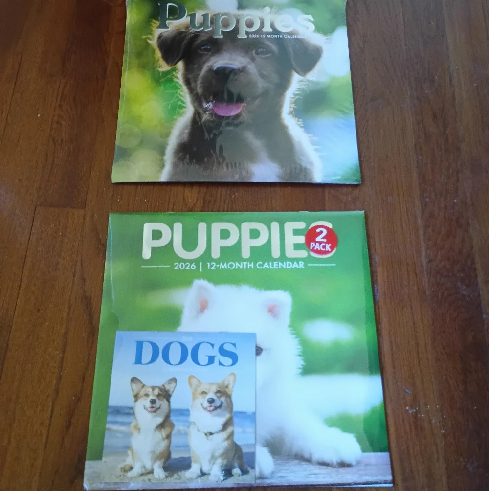 Puppies 2-Pack 2026 Wall Calendars